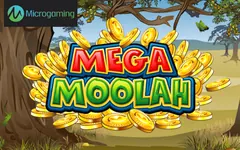Pokie Casino Sites
