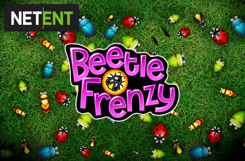 Beetle Frenzy